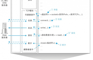 数据在网络中是如何传输的