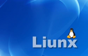 Linux系统查看进程ps的用法