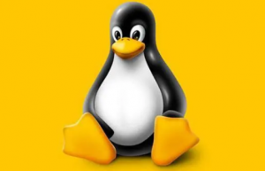 ext3文件系统反删除利器-ext3grep