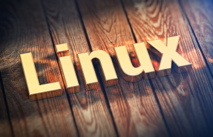 Linux 中的 “Bash: Command Not Found” 报错解决方案