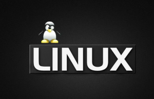 详解Linux文件类型