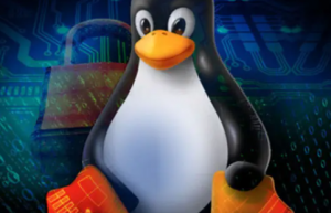 详解Linux之dir 命令
