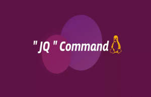详解Linux 中的 JQ 命令使用实例