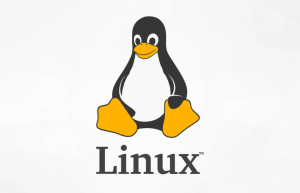 详解Linux 文件描述符 fd