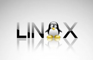 Linux 中的相对路径和绝对路径就是这么简单