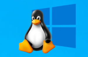 LINUX 的环境变量总结