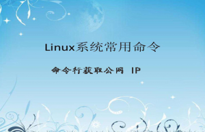 Linux获取公网IP具体方法