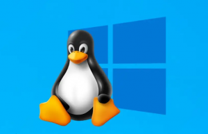 Linux 端口的开启的两种方法需要掌握