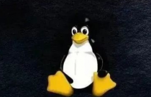 Linux下的TCP测试工具