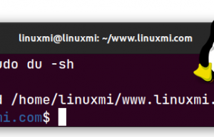 Linux 上使用 “小神器” 来延长磁盘使用寿命