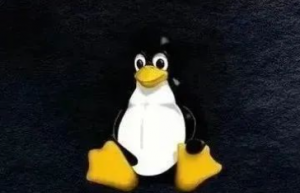 Linux下的TCP测试工具