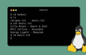 抓住 Linux 黄金 60 秒