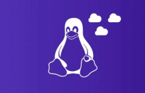 Linux 命令 socat – netcat 实用程序的出色替代品