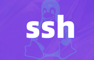 Linux 怎么防止 ssh 被暴力破解