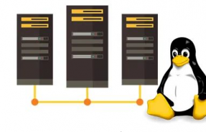 借国产化东风！Linux 正在雄起
