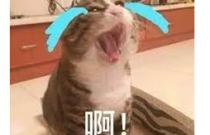 完了，良许直播中删库了……