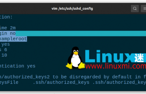 在 Linux 上保护 SSH 服务器连接的 8 种方法