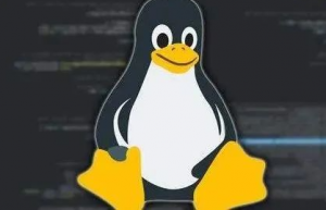 Linux中是谁占用了我的端口