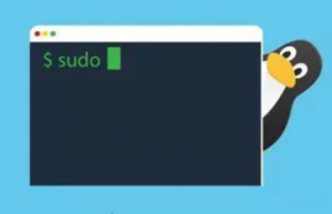 Linux 综合性命令及解析