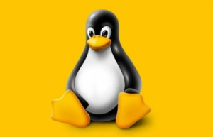 怎样才能让 Linux 文档的颜色高亮？