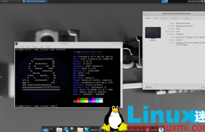 你知道 Linux 世界的四大支柱 Linux 发行版吗？