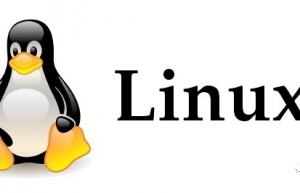 Linux 之父终于被劝动：用了 30 年的 Linux 内核 C 语言将升级至 C11