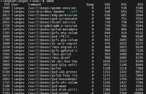 Linux内存管理神器：smem工具