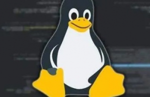 Linux中是谁占用了我的端口