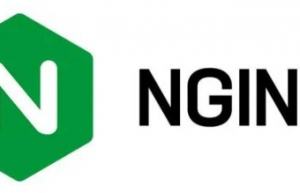 在 Linux 中创建 Nginx 虚拟主机