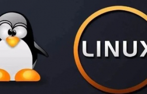 教你快速清空 Linux 中的大文件