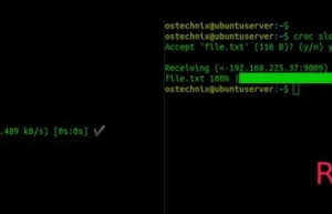 使用croc命令在Linux系统电脑之间传输文件和文件夹