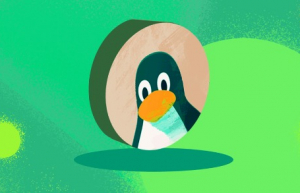 Linux 环境变量配置的 6 种方法，建议收藏！