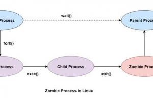Linux系统僵尸进程详解