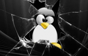 这些 Linux 程序调试工具，可以看到程序内部的很多小秘密