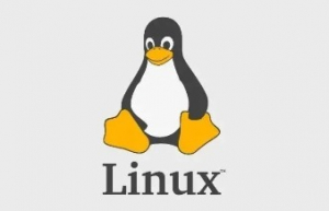 Linux 服务器日常巡检脚本分享