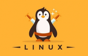 这些 Linux 技巧你应该知道