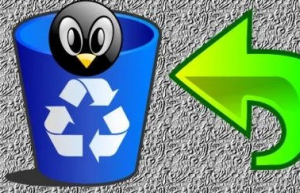 Linux 系统中成功恢复已删除的文件
