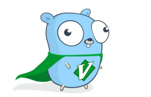 Linux 下 golang 的 vim 环境配置
