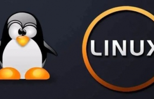 50 个应知必会的 Linux 常识和操作！