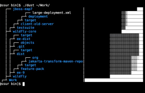 在 Linux 上用 dust 代替 du 命令