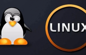 一文理解 Linux 平均负载，附排查工具