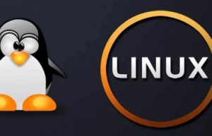 Linux vi/vim 中的一些技巧
