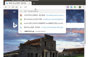Linux-C 编程 / 网络 / 超迷你的 web server