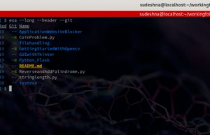 为什么我在 Linux 上使用 exa 而不是 ls？