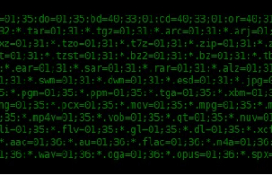 了解 Linux 文件的颜色代码
