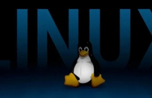 原来 Linux 日志文件系统是这样工作的~