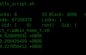 在 Linux 中如何查看文件的修改日期