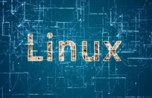 不可不知的Linux文本查看命令