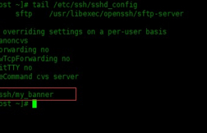 Linux系统使用SSH登录之前如何显示横幅消息