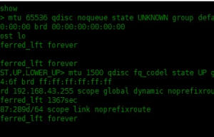 Linux中 ip 命令的使用实例